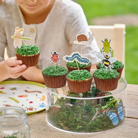 Pics Cupcake Insectes