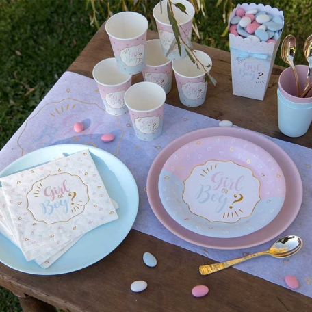 Assiette Gender Reveal x 10