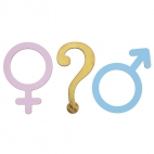 Déco Gender Reveal