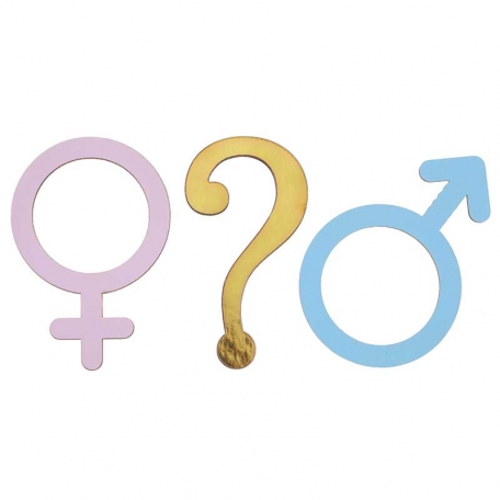 Déco Gender Reveal